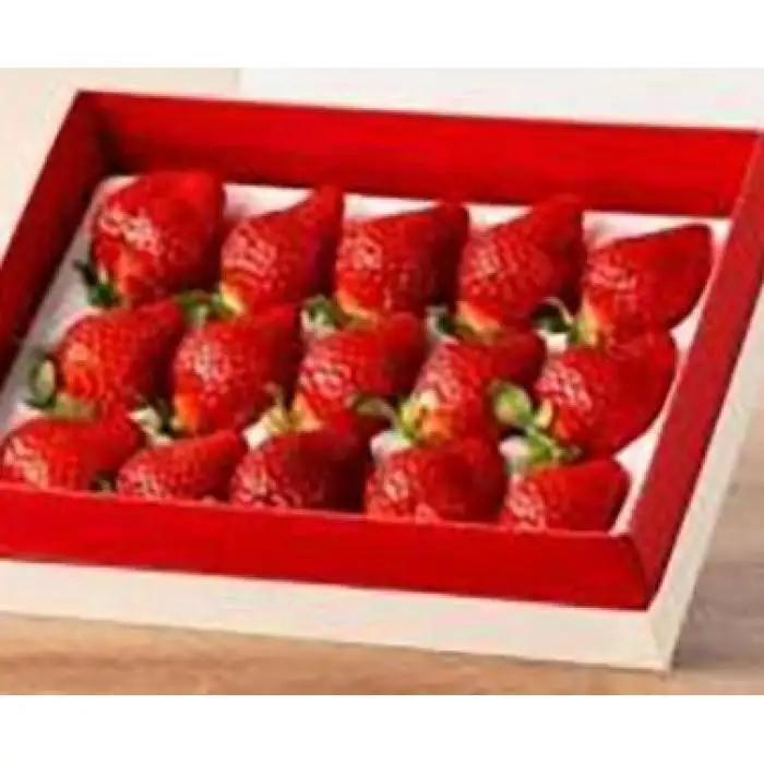 【2027年1月～4月出荷分予約販売】武下さんちの「完熟あまおう」 3Lサイズ 450g  白いVIPボックスに入れて！