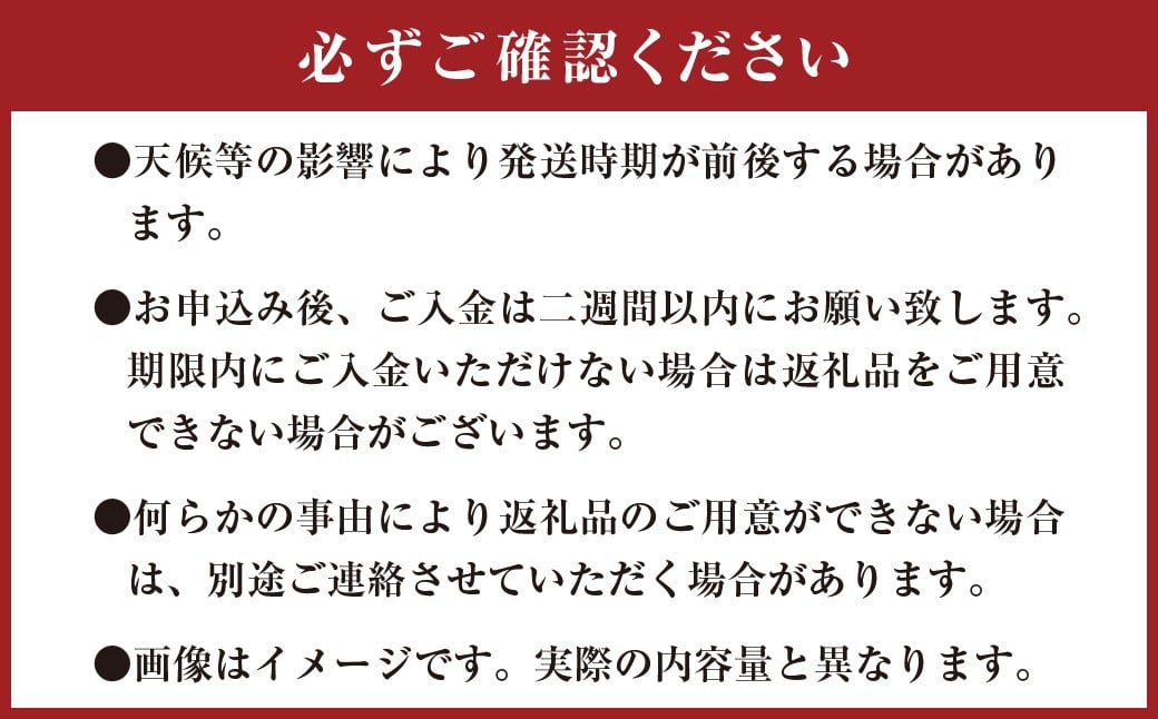 ひとさじでおうちごはんを整える発酵調味料・玉ねぎ麹 （1個）