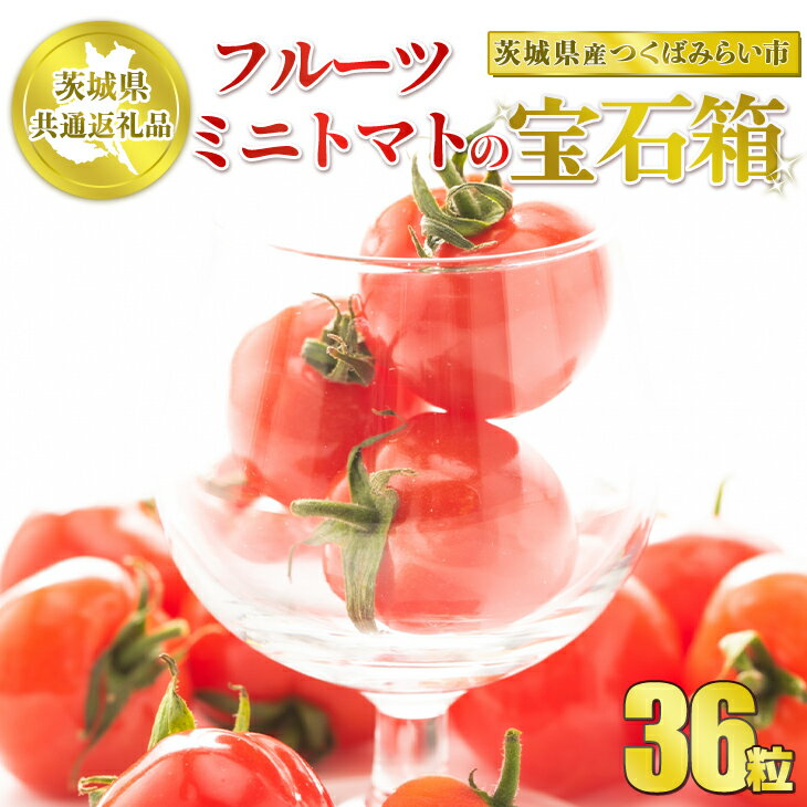 【ふるさと納税】【先行予約】【茨城県共通返礼品　つくばみらい市産】フルーツミニトマトの宝石箱　36粒　※2026年1月～3月下旬頃に順次発送予定