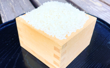 【R7年新米5kg】湘南生まれのお米「はるみ」〈出荷時期:～2025年12月26日出荷終了〉【 神奈川県 大磯町 米 お米 白米 白飯 コシヒカリ キヌヒカリ 交配種 新米 前日精米 特別栽培米 甘み