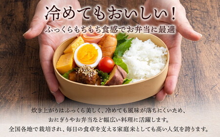 令和7年産 猪苗代町ブランド米 いなわしろ天のつぶ( 精米 ) 2kg ｜ お米 白米 福島 大粒 寿司 和食
