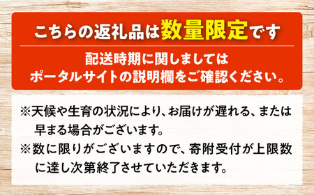 大前農園の完熟いちご＆完熟いちごジャムセット いちご イチゴ ジャム 三次市/大前農園[APAS002]