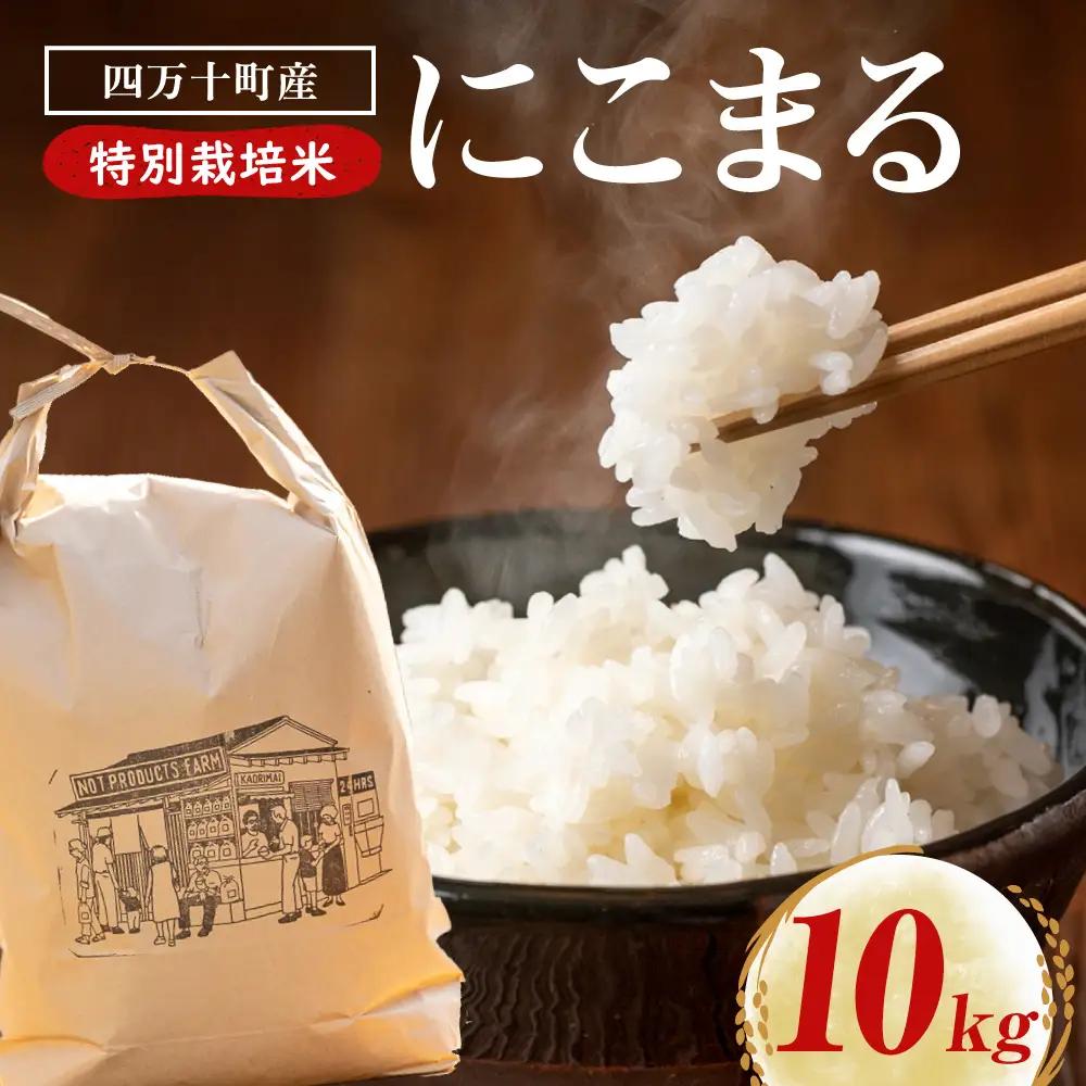 【にこまる】【数量限定】四万十清流育ち!つや甘み際立つ 10kg／ Fnp-A06