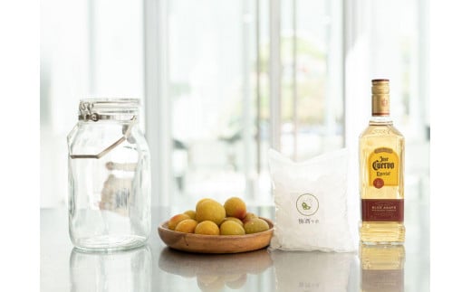 
            梅酒作成スタンダードキット（テキーラベース）umslabo010
          