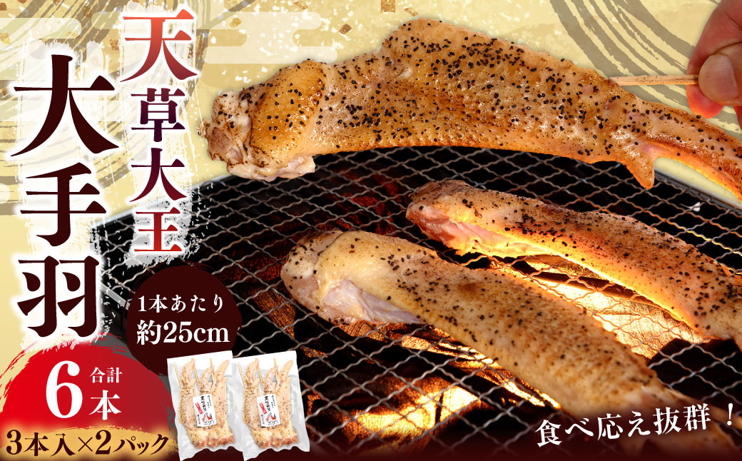 
熊本 天草大王 大手羽 6本 （3本×2） 鶏肉 とり肉 鶏 お肉 肉 手羽 冷凍
