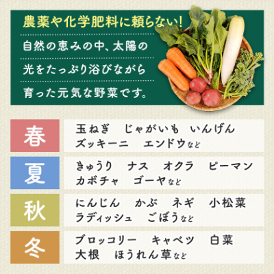しあわせ野菜畑の有機野菜　Mセット　(安心の有機JAS認証　旬のオーガニック野菜　農場直送便)【配送不可地域：離島・北海道・沖縄県・四国・九州】