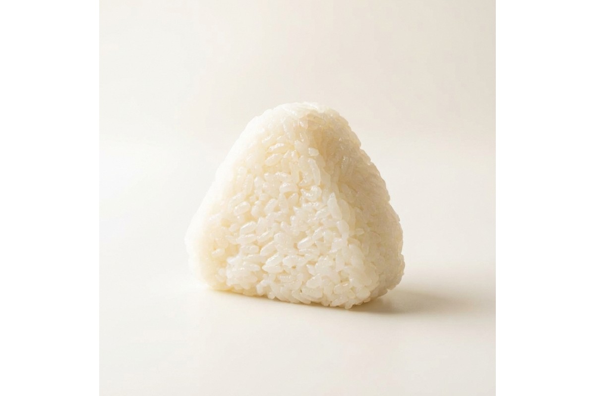 丹後のコシヒカリと塩だけでつくる 塩むすび −40℃急速冷凍 レンジ3分　TU00008
