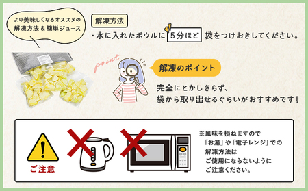 【3回定期便】メロンジュースのもと 約800ｇ 約165g×5パック 【 カットメロン カットメロン カットメロン カットメロン カットメロン 】 Wtn-0034