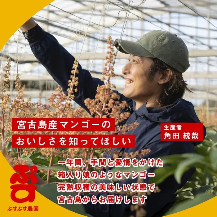 【先行予約】【ぷすぷす農園】＜2027年発送＞宮古島産完熟マンゴープレミアム（贈答用／1キロ／農園直送）（KY014）