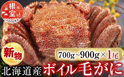 
            C-28060 根室海鮮市場＜直送＞ボイル毛がに700～900g×1尾
          