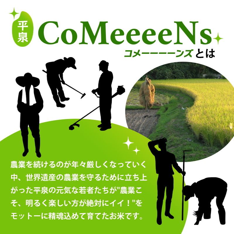 【令和6年産】平泉町産 ひとめぼれ 20kg（20kg×1袋）/ こめ コメ 米 お米 おこめ 精米 白米 ご飯 ごはん ライス ひとめぼれ 平泉COMeeeeN【com400-hito-20-1B】