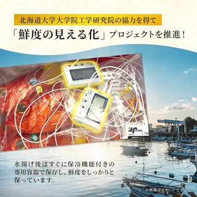 ふるさと納税 いすみ市 いすみの釣り金目鯛(冷凍)2匹セット |  | 02
