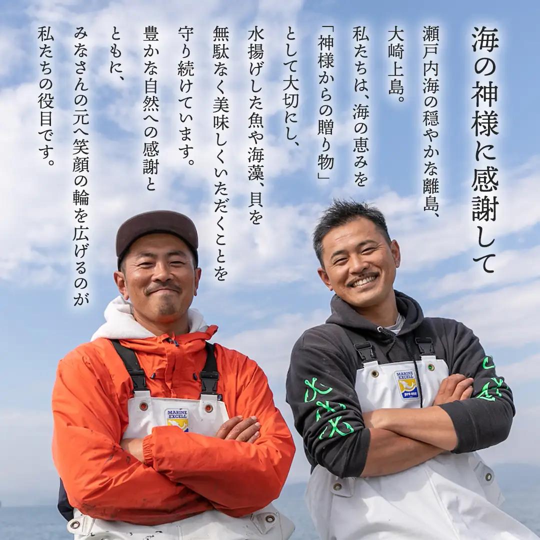 天然・生食可 大・特大サイズ 岩牡蠣 5個 瀬戸内産  《ナイフ・軍手付き》 産地直送