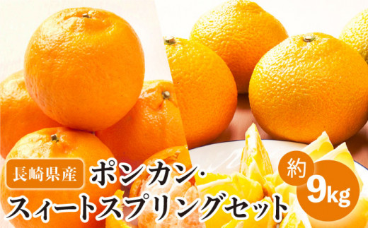 【数量限定】ポンカン&スィートスプリング 食べ比べセット 約9kg【長崎ぶんたんの会】[OAF009] / みかん ミカン 柑橘 ぽんかん 果物 フルーツ 蜜柑 みかん ポンカン 椪柑 スイートスプリング 柑橘類 みかん カンキツ ポンカン ぽんかん