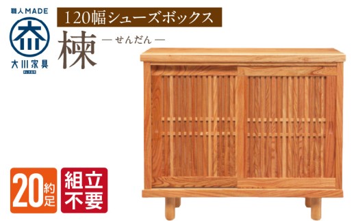 【組立不要】大川家具 シューズボックス［楝 センダン］幅120cm _ 大川家具 シューズボックス センダン ブラウン 幅 120cm 国産 靴箱 純和風 組立不要 可動棚 アジャスター 調整可能 ロータイプ 玄関収納 環境に優しい 無垢材 和テイスト モダン 耐汚染性 耐熱性 日本製 お取り寄せ 福岡県 久留米市 送料無料 _Qd107