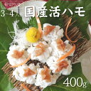 【ふるさと納税】国産 活はも (骨切り済) 400g ( 3人前 ～ 4人前 )【天然 はも ハモ 鱧 鮮魚 皮付き 湯引き はもしゃぶ】