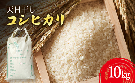 天日干し コシヒカリ 10kg 米 お米 精米 白米 兵庫県 洲本市 淡路島