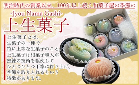 合同会社武市神栄堂の上生菓子 - 送料無料 ギフト お祝い のし 武市神栄堂 お菓子 おやつ 家族団らん お茶の時間 yd-0014