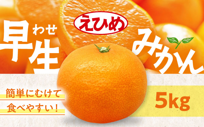 【先行予約】【11月中旬から順次発送】温州みかん（早生） 5kg （S～Lサイズ混合）愛媛県大洲市/永沼農園 [AGAW016]温州ミカン うんしゅうみかん  みかん  フルーツ ミカン 果物 くだもの 愛媛みかん デザート おやつ 冬果物 青果