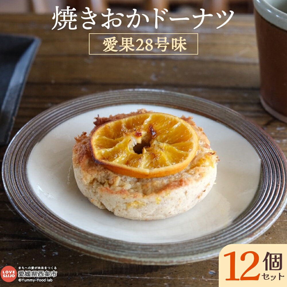 【ふるさと納税】＜焼きおかドーナツ 愛果28号味 12個セット＞※翌月末迄に順次出荷します。おからドーナツ 焼きドーナツドーナッツ 詰め合わせ つめあわせ 手作り てづくり 和スイーツ おかし お菓子 おやつ 焼菓子 ソイリクル SOILIKKLE 愛媛県 西条市【冷凍】