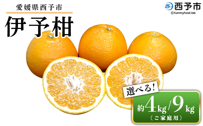 
愛媛県西予市産 伊予柑 ご家庭用 約4kg／9kg 訳あり 果物 くだもの フルーツ みかん ミカン オレンジ 柑橘 イヨカン いよかん 選べる 食べて応援 特産品 宇都宮物産 愛媛県 西予市【常温】
