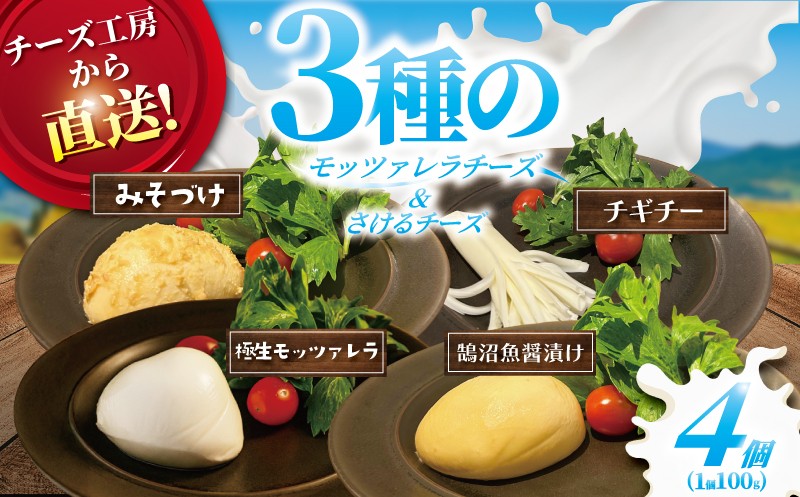 
            年内発送 ！ ( 12/21決済完了分まで) チーズ モッツァレラ 3種＋ チギチー チーズ 4種セット 極生 魚醤漬け 味噌漬け チギチー モッツァレラチーズ 裂けるチーズ ちーず ナチュラルチーズ cheese ビール おつまみ おやつ 人気 お取り寄せ 10000円 贈り物 贈答 Aprotodo’S株式会社 RRAAP BREWERY 神奈川 湘南 藤沢
          