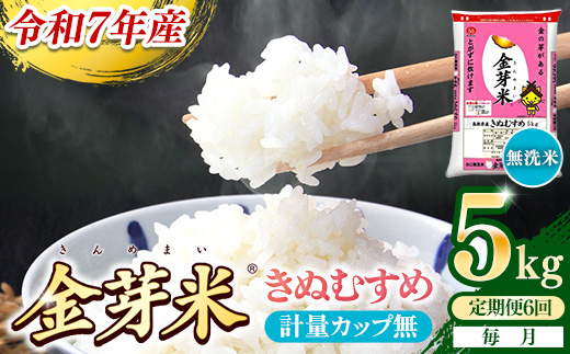 【定期便】BG無洗米・金芽米きぬむすめ 5kg×6ヵ月（毎月）計量カップ無し【令和7年産 6ヶ月 計30kg 東洋ライス 健康 島根県 安来市】