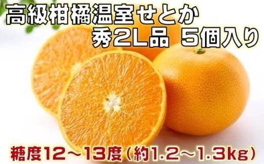 
                  高級 柑橘 温室 せとか 秀品 2L 品 5個入り 約1.2～1.3kg みかん 蜜柑 ミカン 果物 フルーツ 柑橘類 国産 柑橘 期間限定 季節限定 数量限定 人気 旬 甘い ジューシー 完熟 ギフト プレゼント 贈答用 贈り物 お祝い お中元 お歳暮 ふるさと納税柑橘 ふるさと納税みかん 高知 黒潮町 [1202]
                
