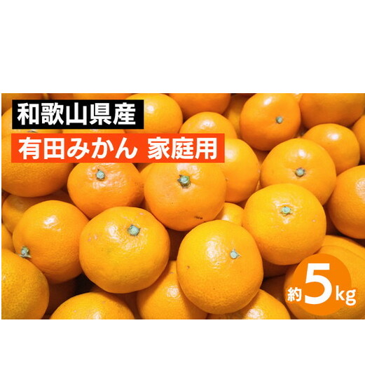 【先行予約】 有田みかん 家庭用 約5kg サイズ混合 和歌山県産