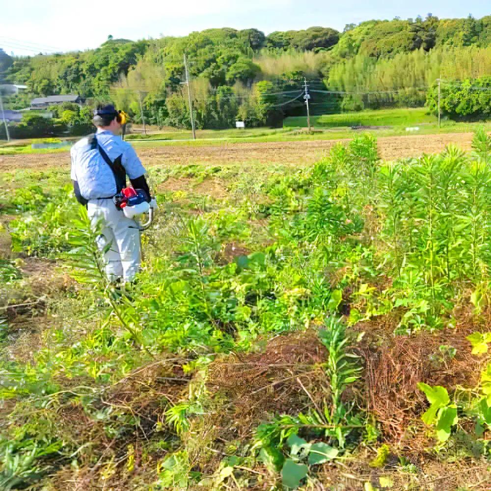 草刈り・墓地清掃・遺品整理等の代行チケット30，000円分《壱岐市》【便利屋とこしえ】[JGX003]