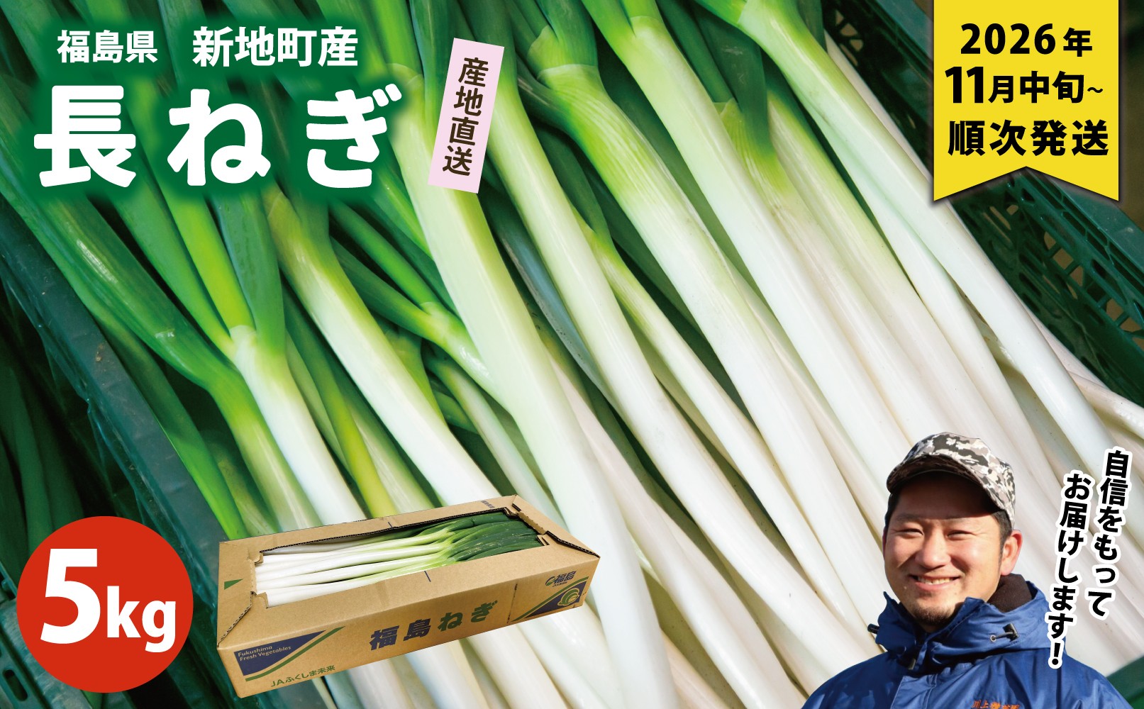 
                  長ネギ 約5kg 1箱 | 訳あり 野菜 やさい 食品 人気 おすすめ 送料無料 ねぎ ネギ 葱 長ねぎ お取り寄せ 福島県 新地町 白ねぎ 鍋 冷凍保存 おかず お徳用 甘い おすそわけ  家庭用 贈答用
                