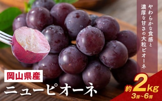 【2026年先行予約】 岡山県産 ニューピオーネ詰合せ 選べる 計 2kg 株式会社はちや《2026年8月下旬‐9月下旬頃出荷》岡山県 浅口市 ぶどう 葡萄 フルーツ ギフト 果物 デザート 国産 送料無料【配送不可地域あり】