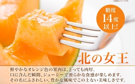 【2027年夏発送】北海道 赤肉メロン 北の女王 秀品 約1.6kg×1玉 