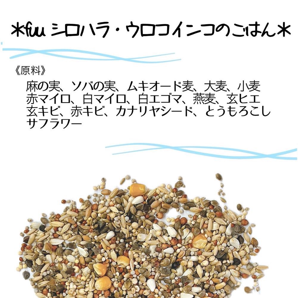 【3ヶ月定期便】fuu シロハラインコ・ウロコインコのごはん（10kg）