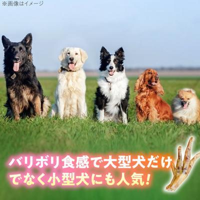 ふるさと納税 糸島市 わんこのおやつ無添加手づくり鶏のお手手 ジャーキー6袋 mogmogfactory[AXO003] |  | 01