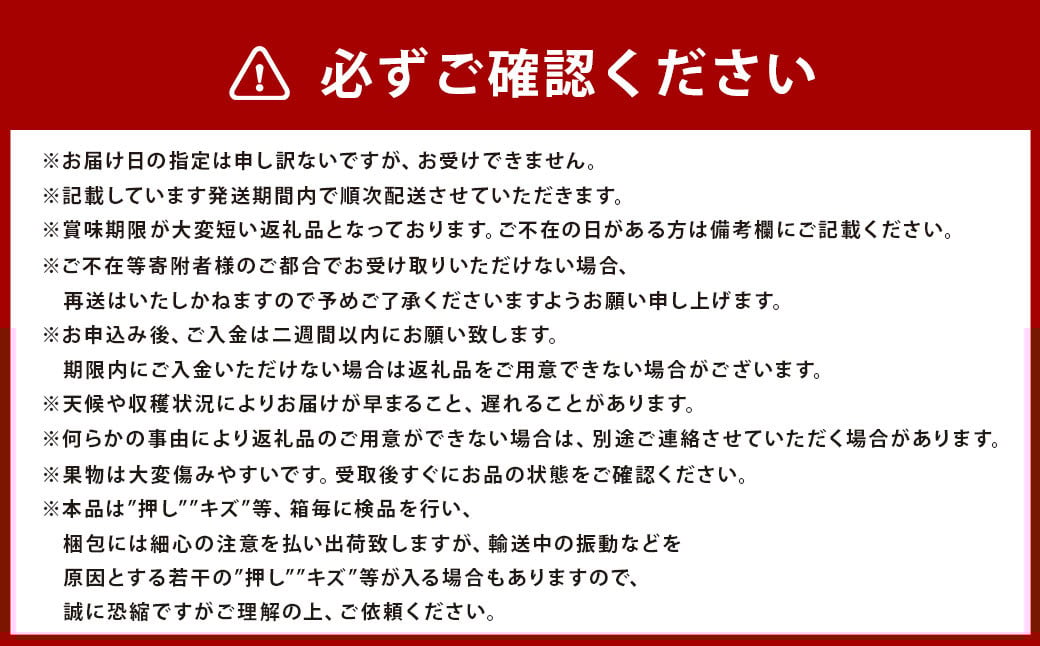 紫苑 1房（700g以上） 化粧箱入り