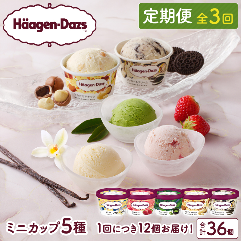 ＜全3回・連続＞お試し定期便！ミニカップ セット アイス スイーツ デザート_H0016-157