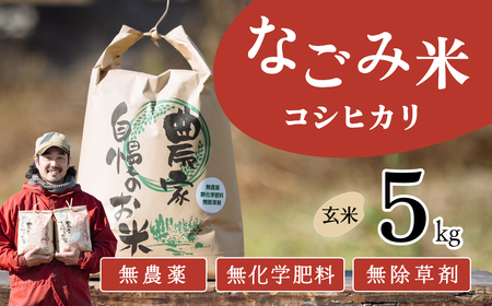 【11月発送】茨城県下妻市産 なごみ米 （ コシヒカリ ） 玄米 5kg 【 お米 コシヒカリ 米 無農薬 無化学肥料 無除草剤 玄米 ブランド米 茨城県産 】