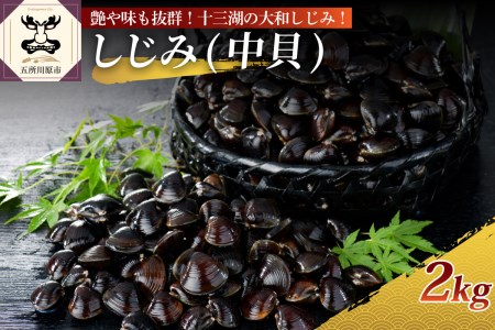 しじみ　中貝 十三湖産大和しじみ 2kg（冷凍しじみ・砂抜き済）ヤマトしじみ