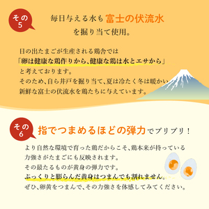 日の出たまご 45個  卵  三島ブランド たまご 