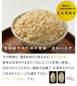 定期便3ヶ月 赤飯120g×12個・金のいぶきプレミアム玄米ごはん120g×12個セット パックごはん パックご飯 防災 米 レトルト ごはんパック