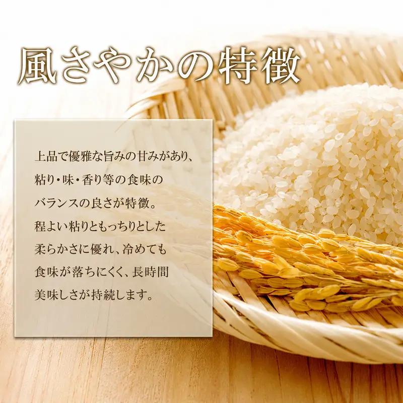 米 令和7年産 長野 風さやか 5kg お米 こめ コメ おこめ 白米 精米 5キロ オリジナル オリジナル米 ブランド米 かぜさやか 信州 長野県 上田市 上田