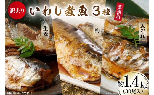 
										
										訳あり 業務用 いわし煮魚 3種×10尾 計30尾入 約1.4kg 簡易包装 [カネダイ 宮城県 気仙沼市 20564345] 生姜煮 梅肉煮 みぞれ煮 国産 冷凍 訳アリ 海鮮 魚 冷凍 おかず 焼き魚 簡単 時短 高級 魚介 海鮮 レビューキャンペーン
									