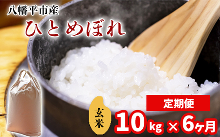 新米 先行予約 【令和8年産】 ひとめぼれ 玄米 10kg （5kg×2袋）×6ヶ月定期便 《2026年11月より順次発送開始予定》 ／ げんまい 岩手県産 中沢農産
