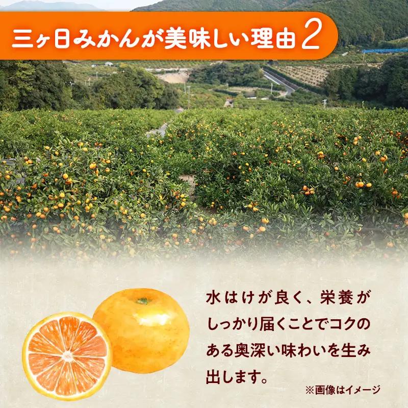 みかん 三ヶ日 糖度11度 青島 3kg L/2L 果物 みかん