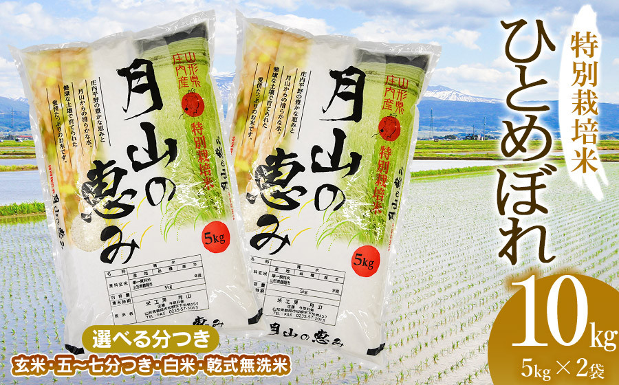 
            【令和6年産 新米】 特別栽培米 ひとめぼれ 10kg（5kg×2袋）山形県鶴岡市産　米工房 月山
          