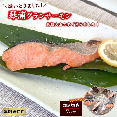 【毎月定期便】山陰の魚屋 山米鮮魚 厳選 国産グランサーモン定期便全4回【配送不可地域：離島】【4088349】