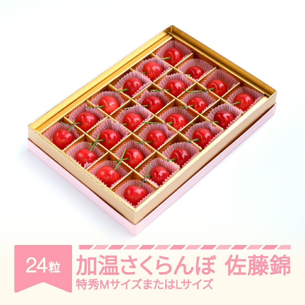 【ふるさと納税】【先行予約】 加温 さくらんぼ 佐藤錦 特秀MサイズまたはLサイズ プレゼント ギフト チョコ箱入 24粒 2026年産 令和8年産 山形県産 送料無料 サクランボ ※沖縄・離島への配送不可 ns-sntxx24