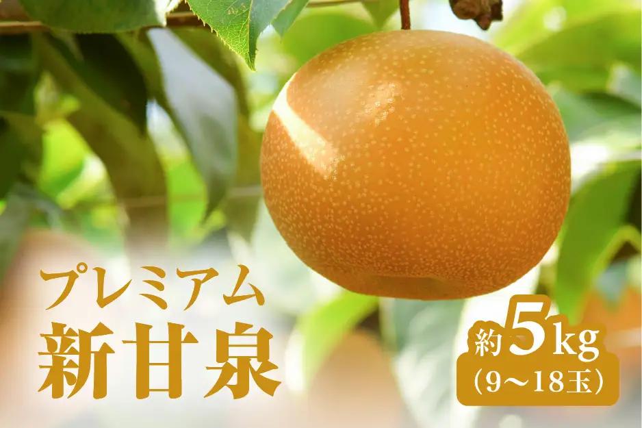 【令和9年産先行予約】プレミアム新甘泉（しんかんせん） 5kg前後 (9～18玉前後) 梨 なし フルーツ 鳥取 高間商店 日野町