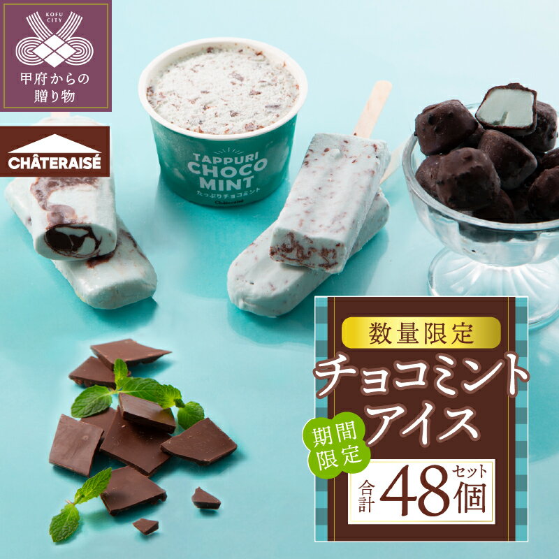 【ふるさと納税】 アイス アイスクリーム シャトレーゼ チョコミント 4種 食べ比べ 48個 セット チョコバッキー ドライミント チョコミントバー たっぷりチョコミント デザートショコラボール 詰合せ デザート スイーツ おやつ ギフト 贈答 期間限定 数量限定 k066-079
